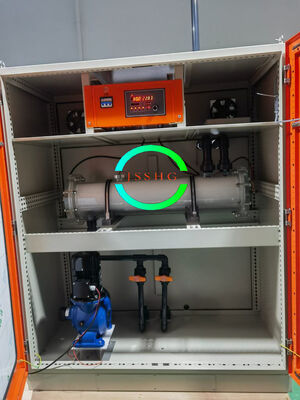 3000 g / h  0.8% High Purity Brine Electrolysis Sodium Hypochlorite Generation System